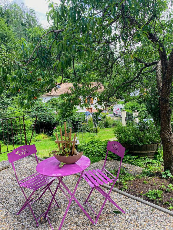 La Araucania, 2 Personnes - Wifi Rombach-le-Franc Ngoại thất bức ảnh